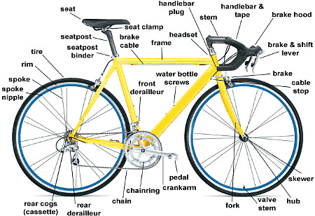 anatomy-road-bike.jpg