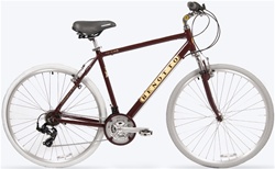 Hybrid bicycle